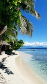 Tropical Paradise Beach with Palm Fronds and Turquoise Waters.