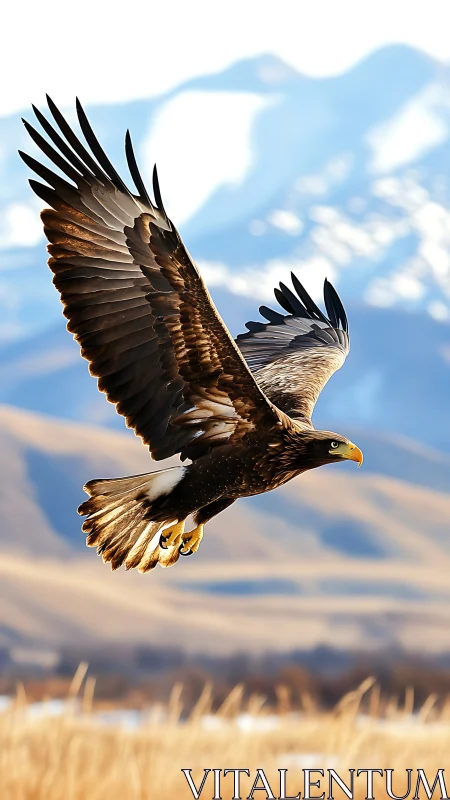 Golden eagle gliding over sunlit mountains in quiet focus.