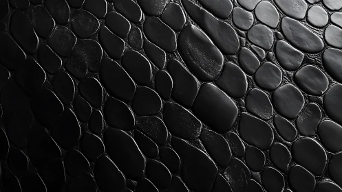 Close black pebble texture with glossy organic surface.