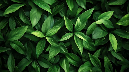 Lush green foliage forms a serene, immersive botanical pattern