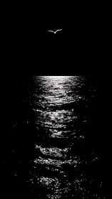 Solitary seabird above moonlit rippling ocean surface.