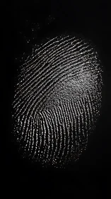 Gleaming fingerprint galaxy on midnight forensic canvas.