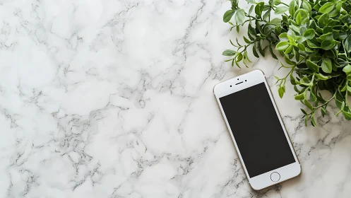 Smartphone on marble workspace with foliage contrast framing.