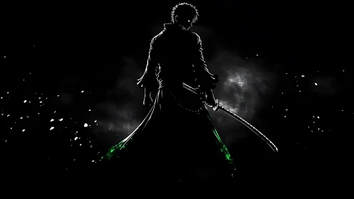 Silhouetted swordsman in dark environment with green accents.