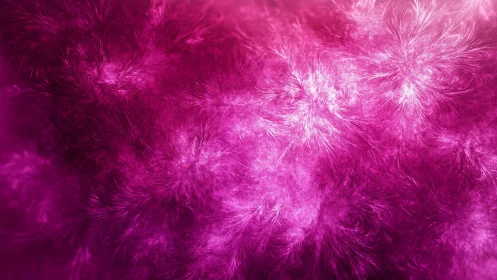 Vivid magenta abstract fractal texture with soft feathered swirls.
