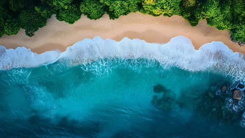 Overhead shoreline view shows wave bands, sand and foliage