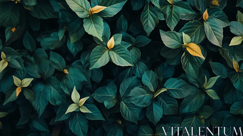 Dense foliage shows overlapping green leaves with yellow tips