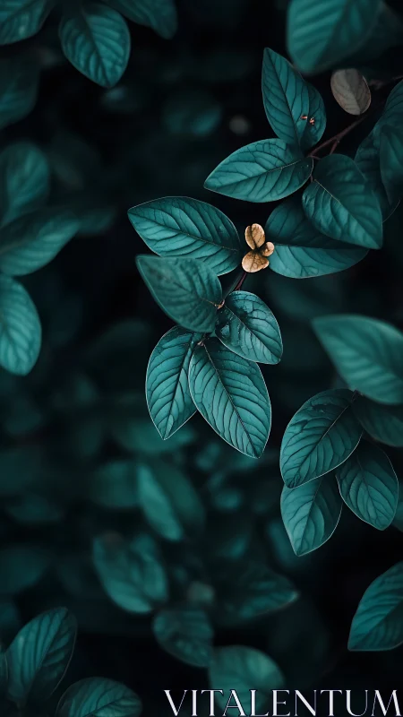 Teal leaves surround a single golden sprout in focus.