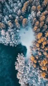 Winter forest shoreline glows beside deep teal water.