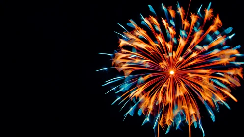 Photorealistic radial fireworks burst on deep black field.
