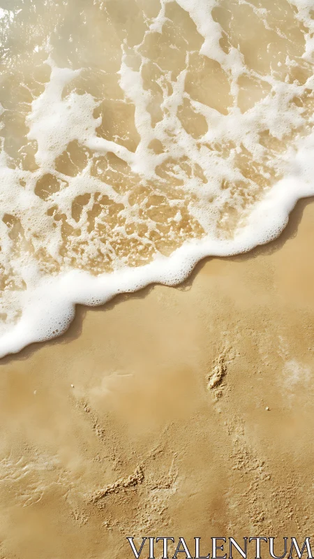 Foamy shoreline wave washing over smooth golden sand.