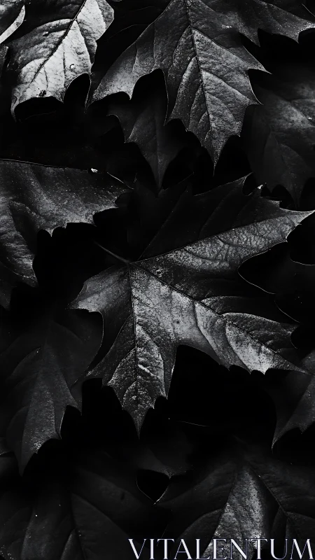 Shadow-soaked maple leaves whisper in silver-edged silence