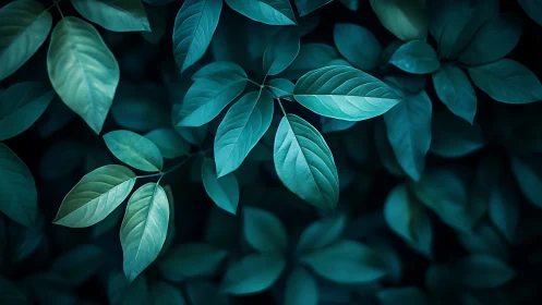 Low key macro foliage with teal color grading and soft bokeh