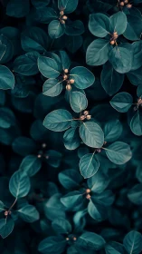 Gentle teal leaves glow softly against a calm dark garden