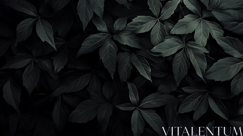 Dark green foliage pattern with overlapping broad leaves.