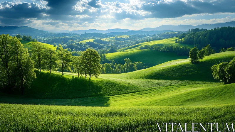 Sunlit green hills roll toward distant blue mountain range