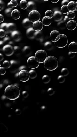 Floating translucent spheres are suspended against dark space