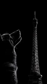 Moonlit dog dreaming beside a quiet Eiffel Tower silhouette.