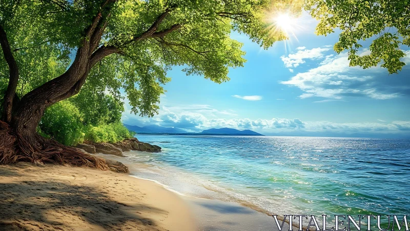 Tropical Beach with Ancient Tree and Mountain Vista.