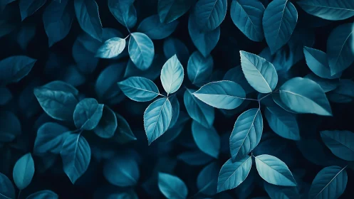 Cyan tinted macro foliage pattern under soft diffused light