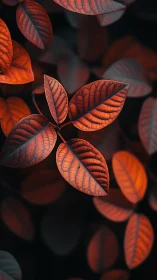 Macro study of red-veined foliage under directional light.