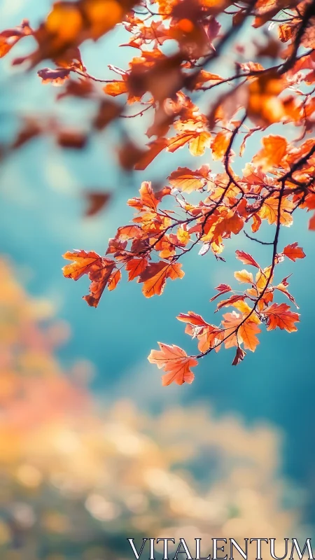 Autumn maple leaves glow against soft turquoise woodland bokeh