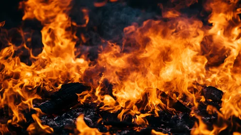 Active combustion fire displaying dynamic flame propagation and radiant heat emission