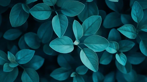 Moonlit teal leaves weaving a quiet forest lullaby.