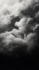 High-contrast cumulonimbus cloud mass in vertical chiaroscuro field.