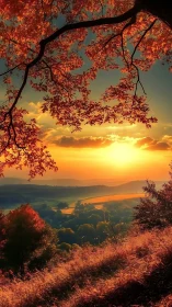 Autumn hillside valley glows under dramatic sunset light