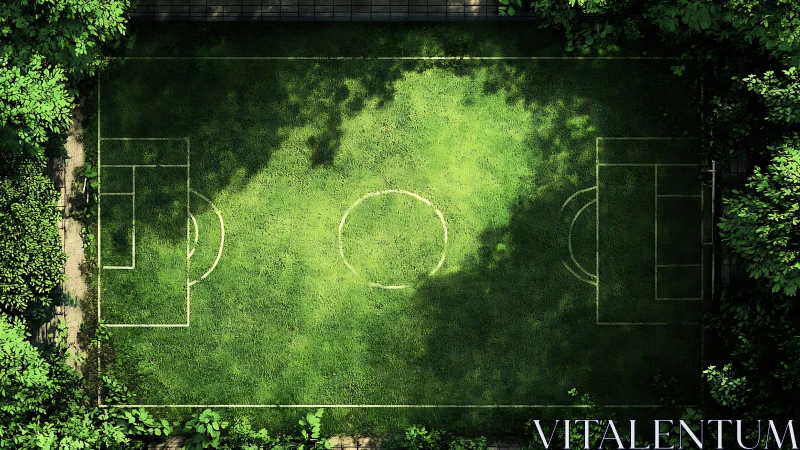 Forest shadows turn a hidden football pitch into green stage