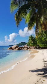 Tropical Beach with Granite Formations and Palm Vegetation.