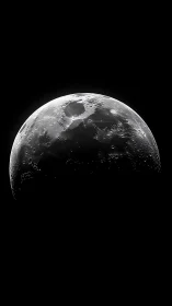 Luminous lunar horizon rising from a cathedral of darkness.