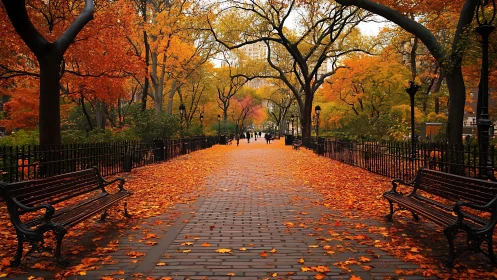 Tree lined park path covered with orange autumn leaves