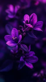 Purple Verbena Cluster in Dramatic Neon Light.