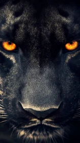 Black Cat with Glowing Eyes: A Mesmerizing Gaze.