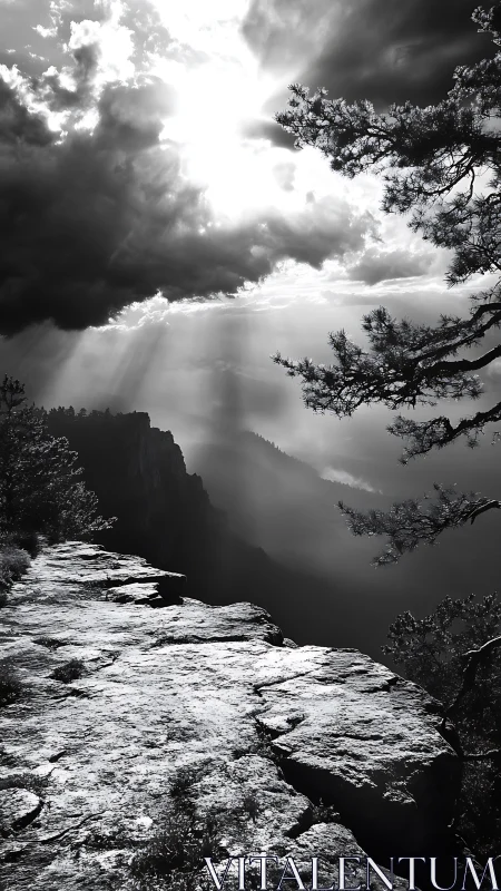 Sunbeams break storm clouds above high canyon rim