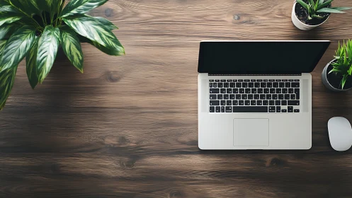 Minimal laptop workspace rests on wooden desk with plants