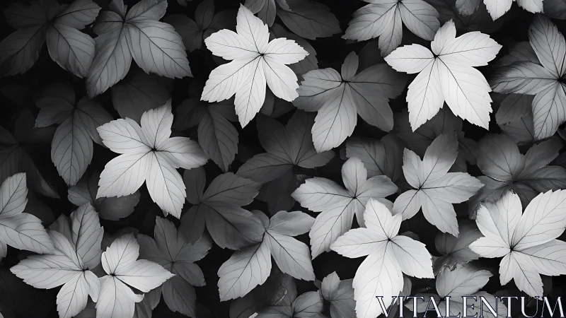 Monochrome botanical canopy renders layered leaf geometry