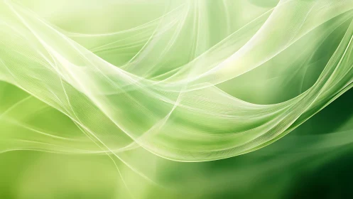 Soft Green Abstract Wave Background with Elegant Light Effects.