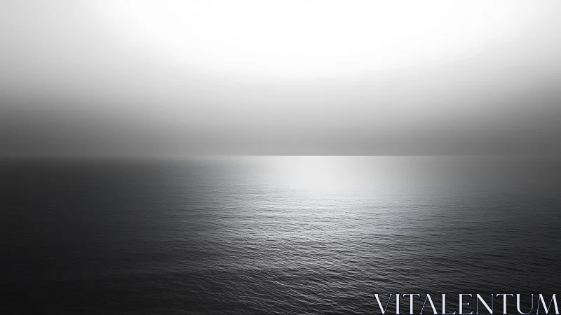 Monochrome seascape shows tonal gradient sky over calm horizon
