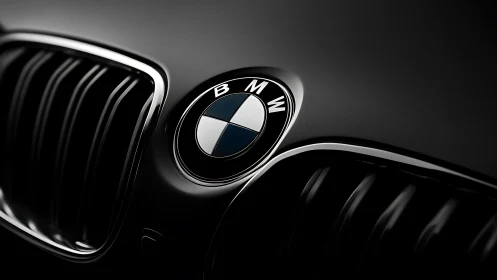 Midnight close-up of a BMW emblem crowned in chrome glow.