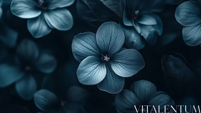 Moody Teal Floral Study with Shallow Depth Focus.