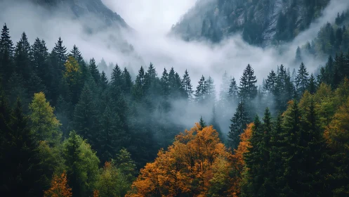 Stratified Mountain Valley with Atmospheric Moisture Dynamics.