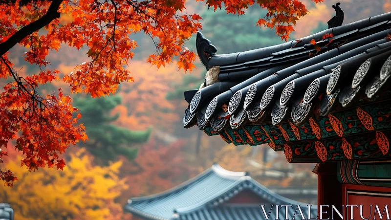 Autumn maple leaves embracing a serene traditional rooftop.