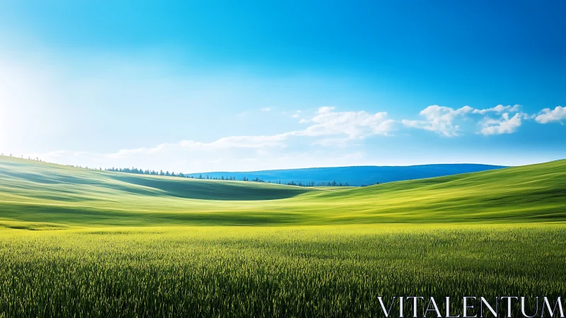 Sunlit rolling fields extend beneath a clear blue sky