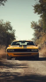 Sunny yellow muscle car waiting on a quiet country road.