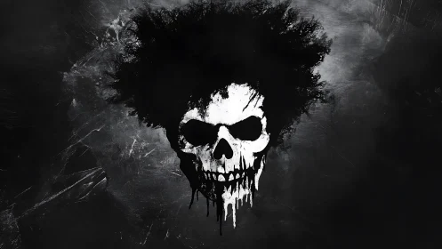 Monochrome skull silhouette with diffuse textured halo.