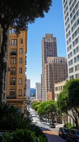Urban street canyon aligns mid-rise and high-rise buildings