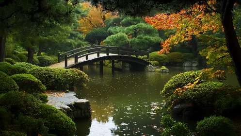 Wooden arch bridge over pond in dense landscaped garden.